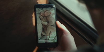 I, Bonobo