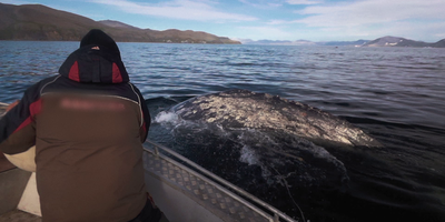 Береговые чукчи. Северная сказка