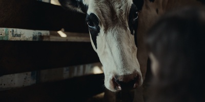 The Calf